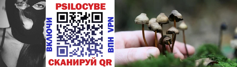Галлюциногенные грибы Magic Shrooms магазин наркотиков Томари